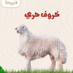 نصف نعيمي هرفي ( 7 لـ 8 كيلو )