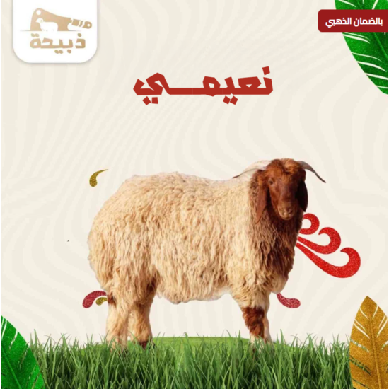  نعيمي لباني ( 13 لـ 14 كيلو )